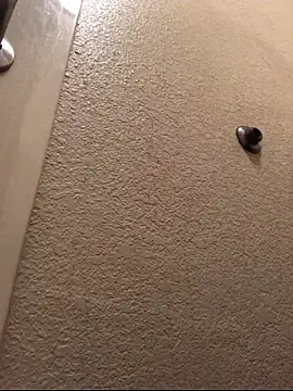 Jasontv56 online show from November 13, 2025, 12:31 pm