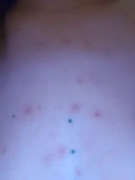 Linda 999 online show from April 21, 2026, 11:17 am