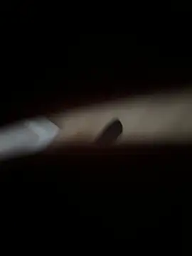 Snapshot of XMenX24 chatting on December 21, 2024, 11:44 am XMenX24 online show from December 21, 2024, 11:44 am