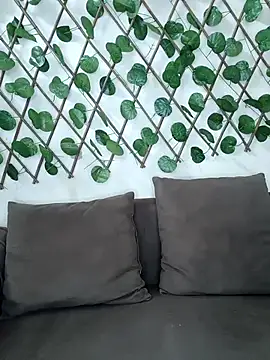 Snapshot of Bold-Cat chatting on November 8, 2025, 5:27 pm Bold-Cat online show from November 8, 2025, 5:27 pm