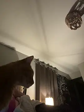 Snapshot of SmokingSloth chatting on November 13, 2025, 6:17 am SmokingSloth online show from November 13, 2025, 6:17 am