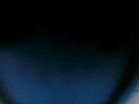 tigerrtiger online show from November 24, 2025, 8:31 pm