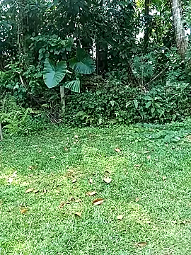 Snapshot of ruki_anglelk chatting on February 9, 2025, 6:01 am ruki anglelk online show from February 9, 2025, 6:01 am