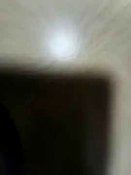 rocksrockydick online show from November 17, 2025, 8:40 am