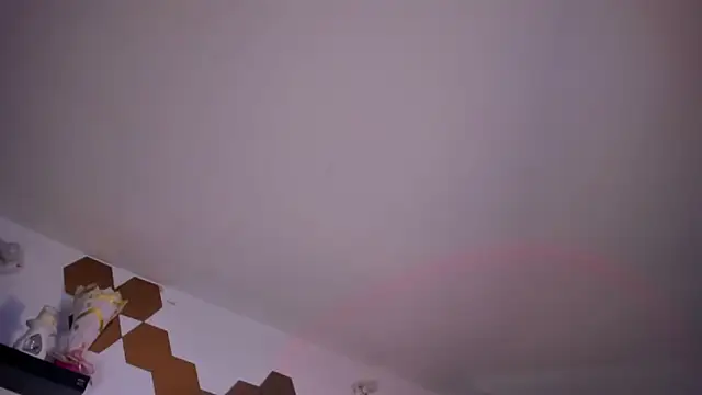 evy orange1 online show from February 3, 2026, 6:22 am