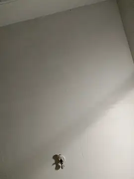 Bigchorizo559 online show from April 14, 2026, 7:24 am