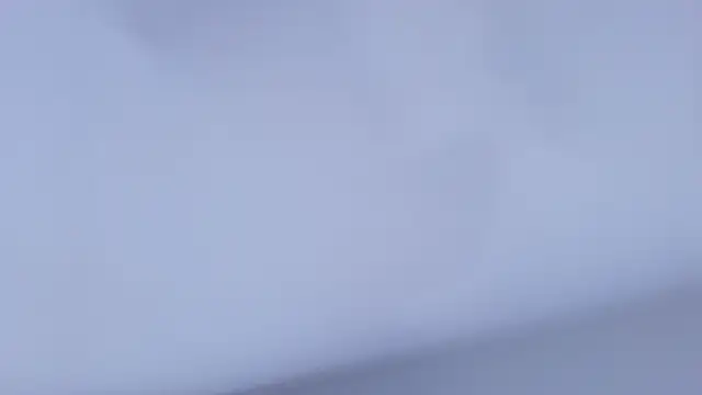 nicol f online show from April 23, 2026, 3:02 am