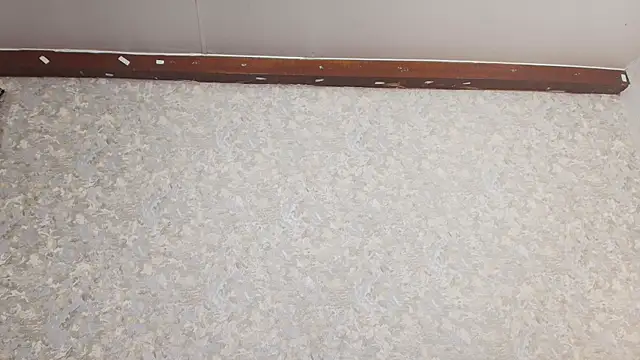 nicol f online show from March 5, 2025, 1:31 am