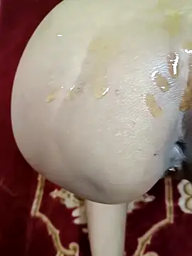 Snapshot of GF_nd_BF_ chatting on March 1, 2025, 3:38 pm GF nd BF  online show from March 1, 2025, 3:38 pm