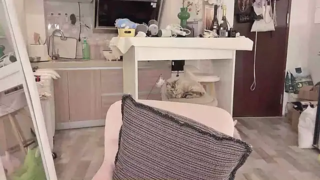 -XunMengLong- online show from March 11, 2025, 7:47 pm