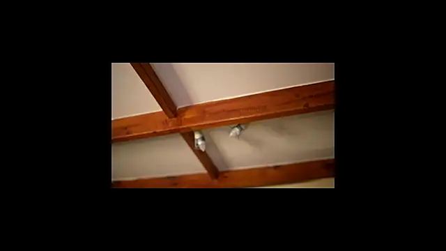 Bellis Perenis online show from February 26, 2026, 9:31 am