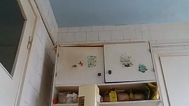 Snapshot of mariusica1@xh chatting on February 19, 2026, 1:52 pm mariusica1xh online show from February 19, 2026, 1:52 pm