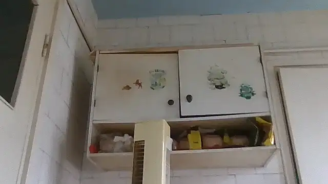 Snapshot of mariusica1@xh chatting on February 8, 2026, 10:35 am mariusica1xh online show from February 8, 2026, 10:35 am