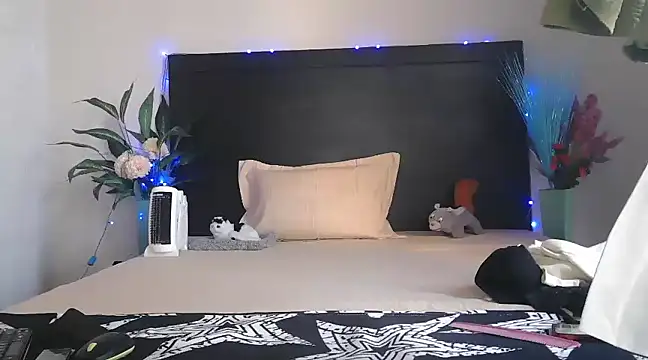 Snapshot of WildRuhi20 chatting on January 29, 2025, 4:15 am WildRuhi20 online show from January 29, 2025, 4:15 am