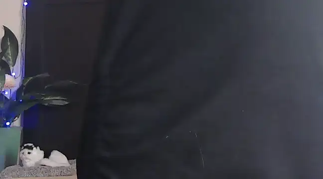 Snapshot of WildRuhi20 chatting on January 25, 2025, 11:13 am WildRuhi20 online show from January 25, 2025, 11:13 am