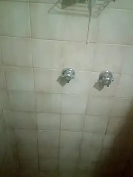 Professor Leo  online show from February 11, 2026, 12:49 pm