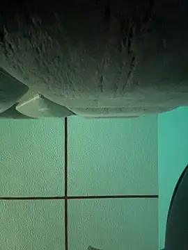 Snapshot of dulce_celeste15 chatting on November 15, 2025, 3:05 pm dulce celeste15 online show from November 15, 2025, 3:05 pm