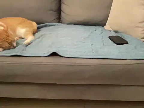 Snapshot of 4small4inchlol chatting on November 14, 2025, 3:59 pm 4small4inchlol online show from November 14, 2025, 3:59 pm