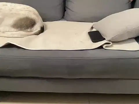 Snapshot of 4small4inchlol chatting on September 21, 2025, 9:31 pm 4small4inchlol online show from September 21, 2025, 9:31 pm