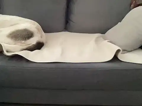 Snapshot of 4small4inchlol chatting on September 24, 2025, 7:26 am 4small4inchlol online show from September 24, 2025, 7:26 am