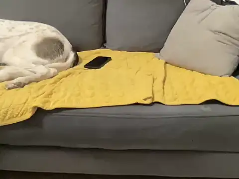 Snapshot of 4small4inchlol chatting on October 29, 2025, 4:39 pm 4small4inchlol online show from October 29, 2025, 4:39 pm