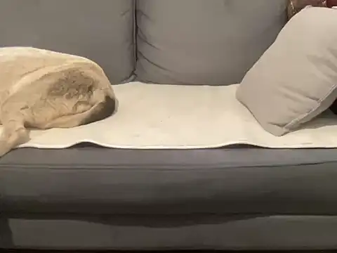 Snapshot of 4small4inchlol chatting on September 17, 2025, 9:00 am 4small4inchlol online show from September 17, 2025, 9:00 am