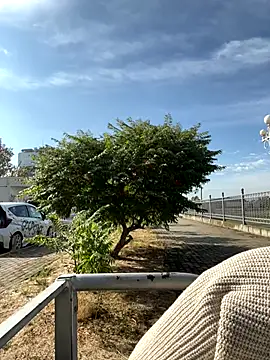 Snapshot of SandraCarter chatting on September 18, 2025, 6:05 am SandraCarter online show from September 18, 2025, 6:05 am