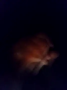 jaxyboys online show from February 3, 2025, 4:46 am