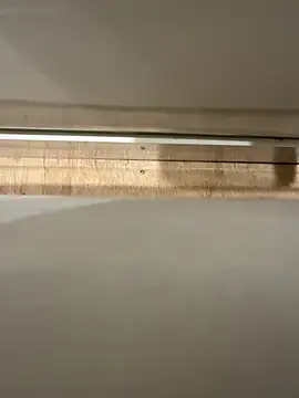 young1fucker online show from December 14, 2024, 6:20 pm