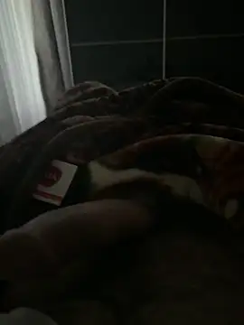 Serkan3356 online show from November 13, 2025, 7:56 am