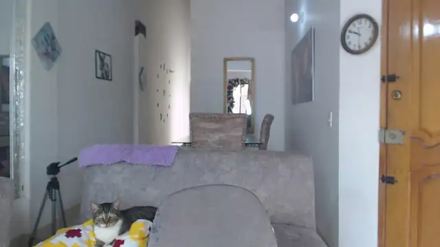 Snapshot of divinepleasury chatting on November 12, 2025, 3:49 pm divinepleasury online show from November 12, 2025, 3:49 pm