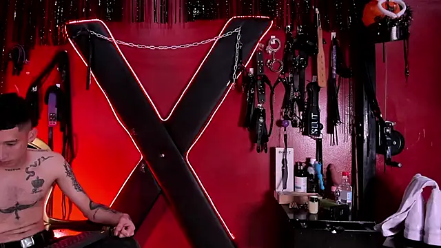 Snapshot of alexa_n_alex chatting on November 29, 2025, 8:20 pm alexa n alex online show from November 29, 2025, 8:20 pm