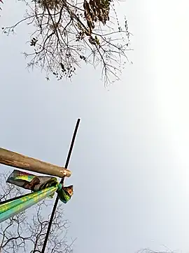 Queen suman online show from February 23, 2026, 8:59 am