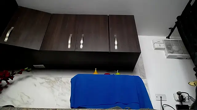 iniyalaboni online show from December 4, 2025, 8:30 pm