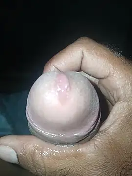 taylorWiiz online show from November 19, 2025, 4:56 am