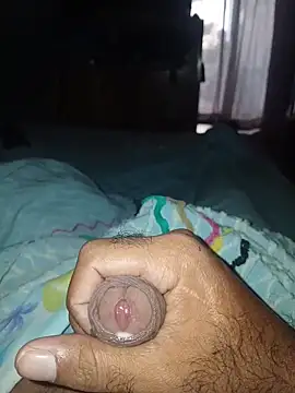 taylorWiiz online show from March 3, 2026, 12:56 pm