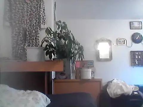 Bigpenis6y online show from December 10, 2024, 12:05 pm