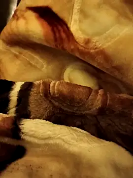 yhona darling online show from December 16, 2025, 5:17 pm