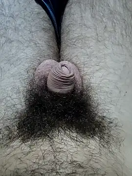 Snapshot of hungarian_dick chatting on October 19, 2025, 10:51 am hungarian dick online show from October 19, 2025, 10:51 am