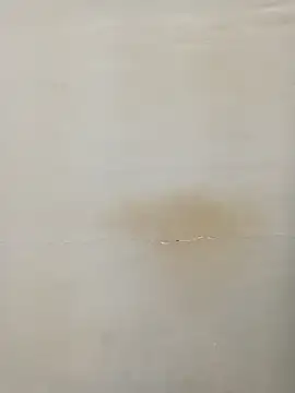 Snapshot of Rina777o chatting on March 7, 2025, 6:11 pm Rina777o online show from March 7, 2025, 6:11 pm