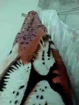 lm279 online show from March 16, 2025, 9:16 am