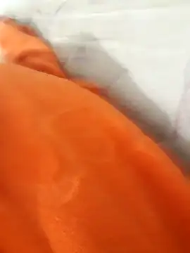 lm279 online show from November 21, 2025, 4:17 pm