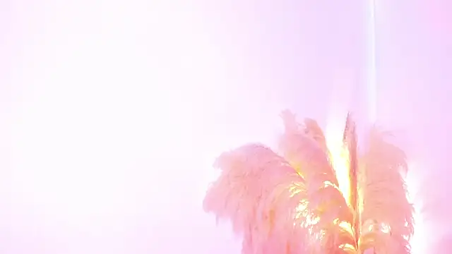 Snapshot of amelie_murphy_ chatting on February 2, 2025, 5:04 pm amelie murphy online show from February 2, 2025, 5:04 pm