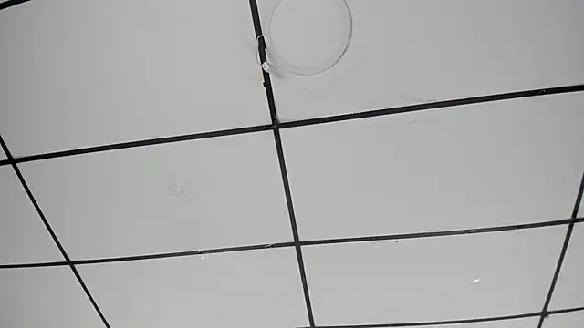 Sophia Lemos online show from October 18, 2025, 1:46 pm