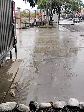 BeetledFlouter12 online show from September 26, 2025, 7:10 pm