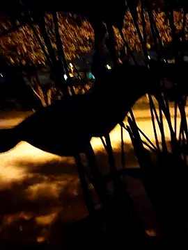 BeetledFlouter12 online show from March 5, 2026, 3:25 am