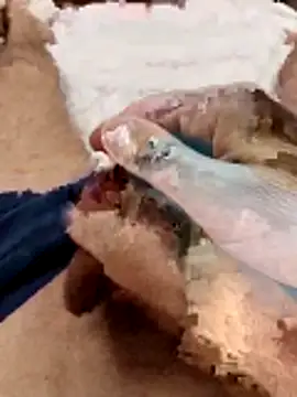 Sperma-V-rotik online show from December 22, 2025, 6:19 pm