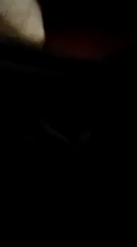 richnd333 online show from December 17, 2024, 5:07 am