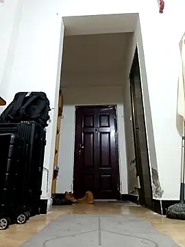 Snapshot of DDYY12341 chatting on November 18, 2025, 11:57 am DDYY12341 online show from November 18, 2025, 11:57 am