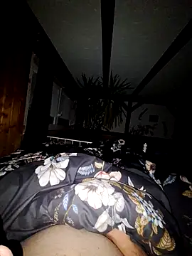 schlonzi81 online show from December 29, 2024, 10:25 pm